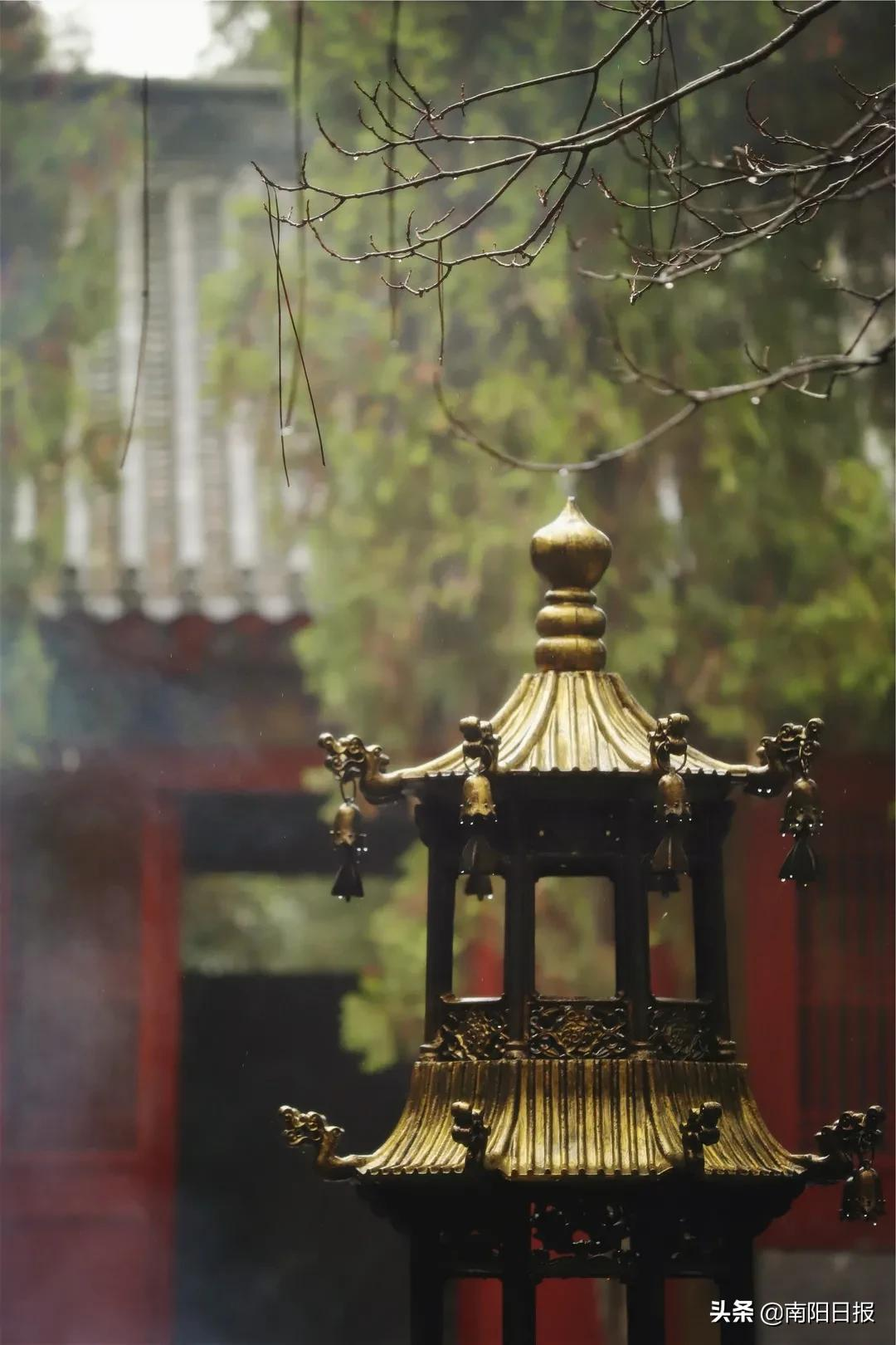科普南阳丨大寒迎年,岁且更始