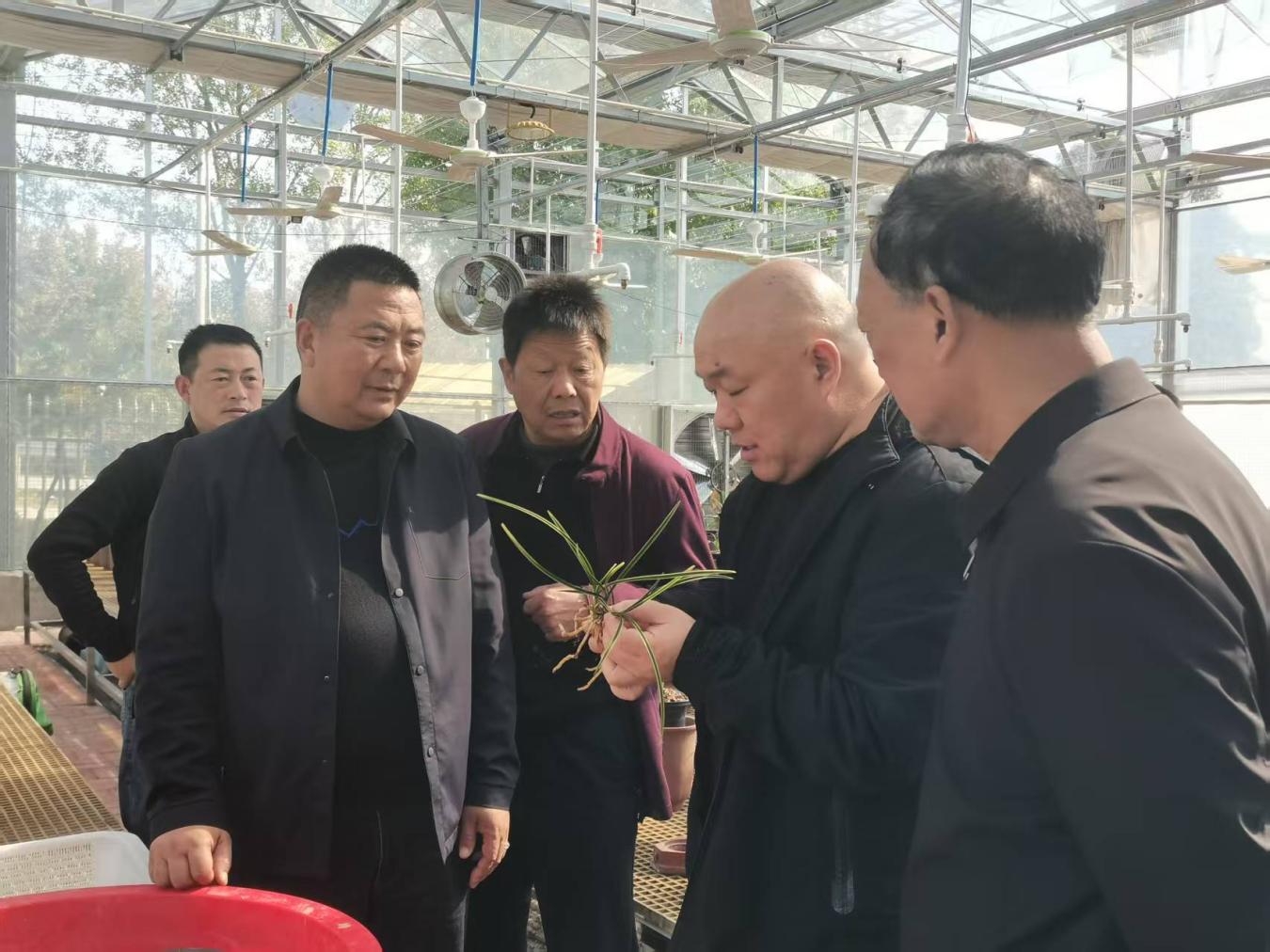 d85daaf4ae5576334565f42a7993a6e1