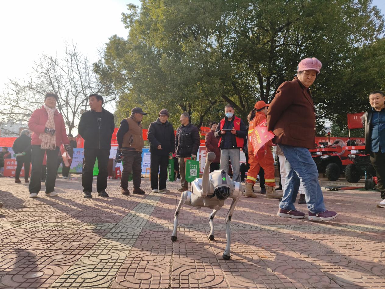 319613ff6e7b43f16429a0b5d050e212