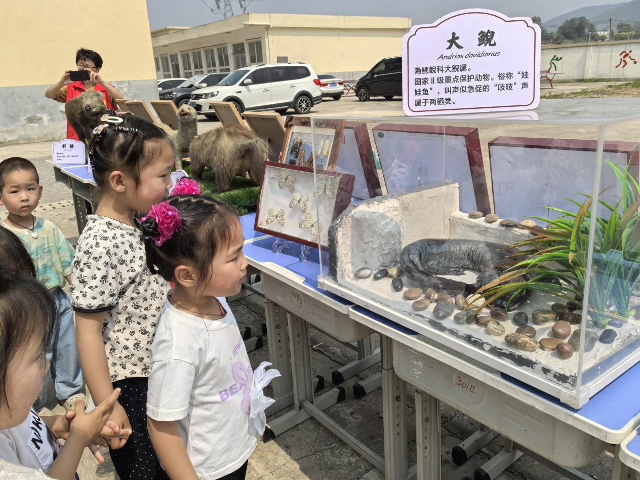参观8