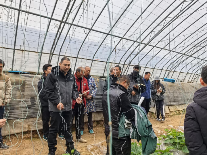 7535145816ae40b4944fb2604a0f32bb