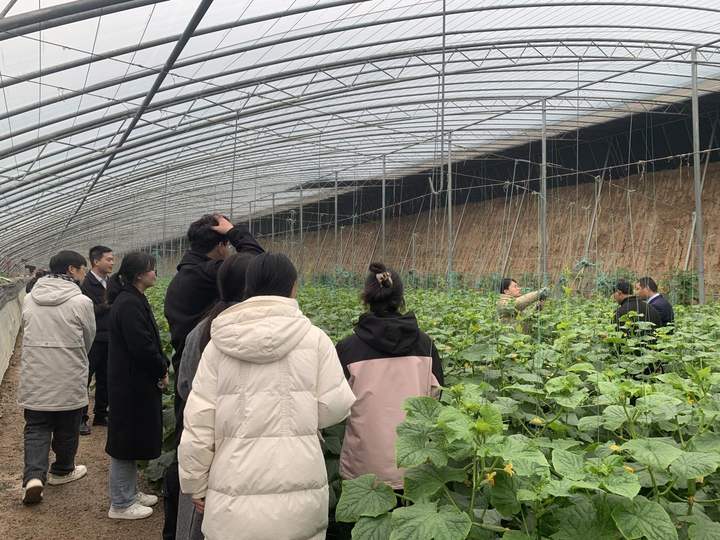 0948f6241ee641e7995ee61e4655c36a