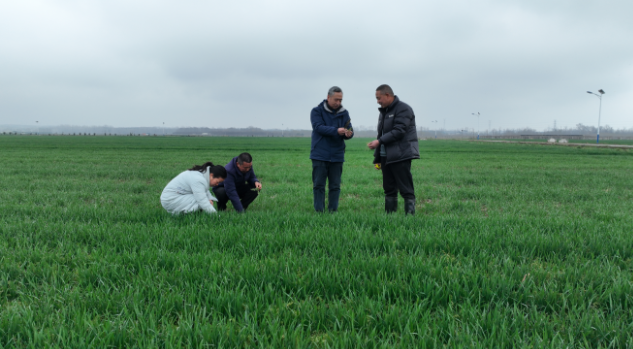 4ad97b76c11ceafe55bc700e02c3fe93